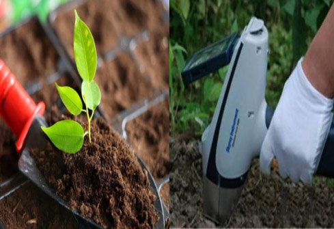 土壤和沉積物檢測